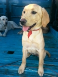 20130708_191927.jpg